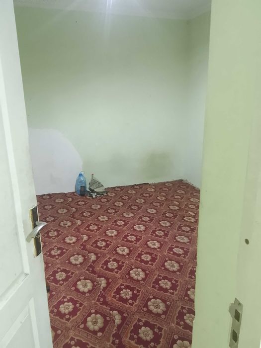 Kvartira arenda bollar student