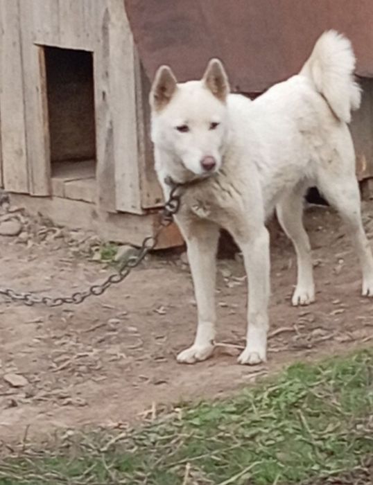 Продам Продам Продам