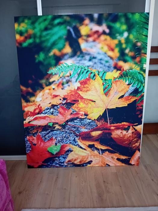 Vand tablou Canvas nou 120cmx150cm