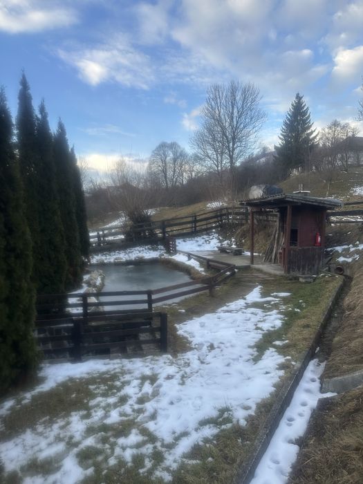 Casa de inchiriat  termen lung sau vanzare Moieciu Brasov