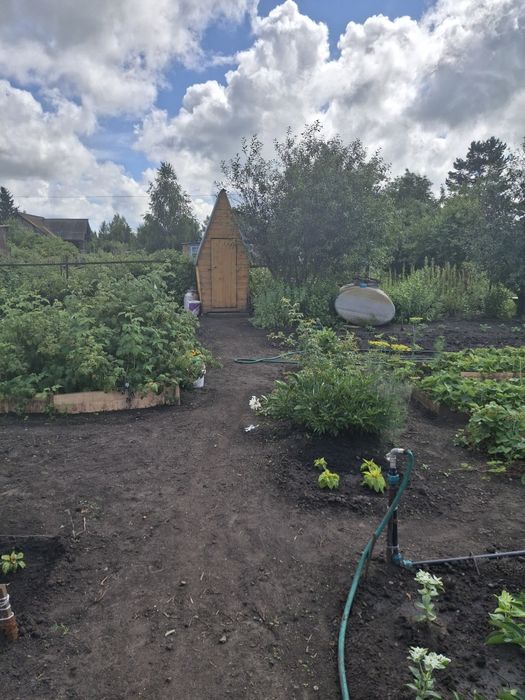 Продам дачу в с/о Буревестник