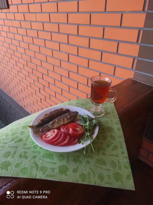 Колсай тур  отдых гостевой дом