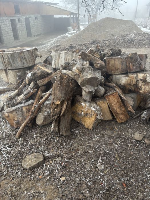 Дровы,Отындар,Томарлар