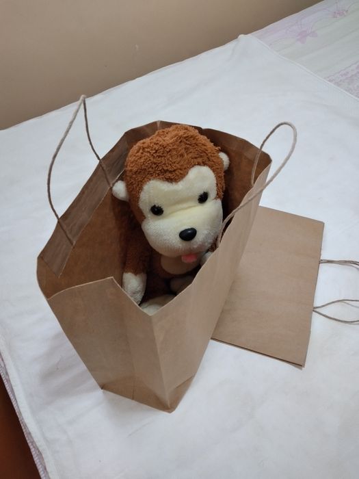 Крафт пакеты для одежды.