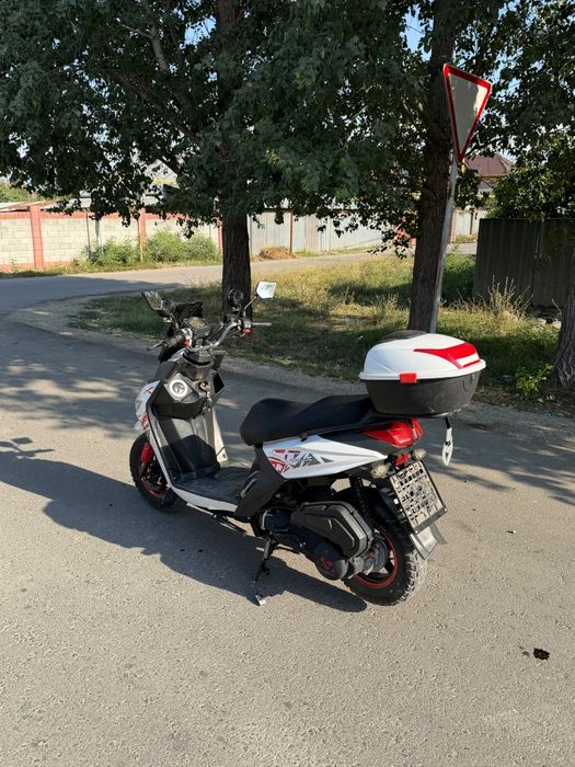 Лия самурай 2025