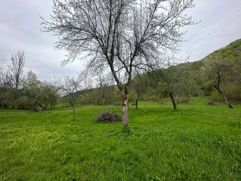 De vanzare Casa la munte si padure