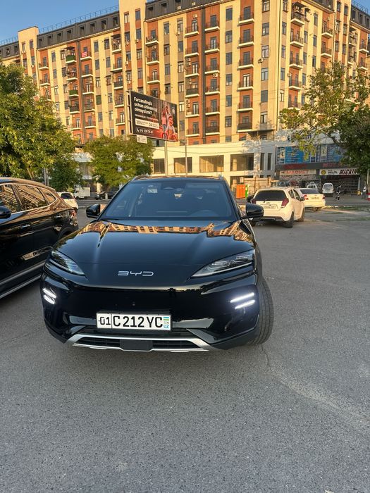 BYD Song Plus EV Champion 2024