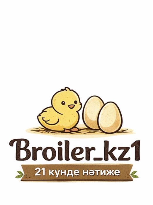 Инкубационные яйца бройлер