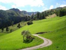 Teren Pasune , Valea Mare Pravat, Judet AG, langa Campulung Muscel