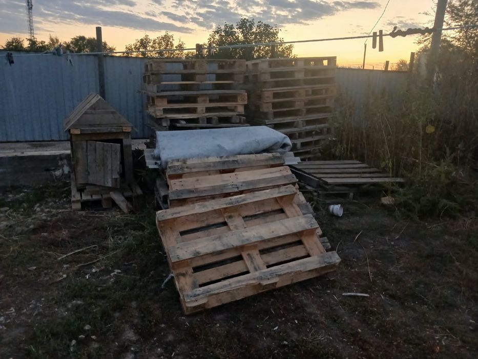 Продаю поддоны хорошего качества