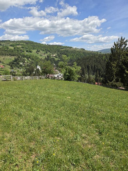 Vand teren Arieseni