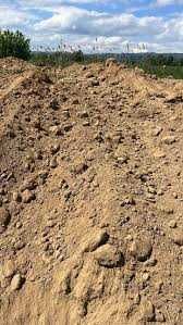 Хумус за озеленяване