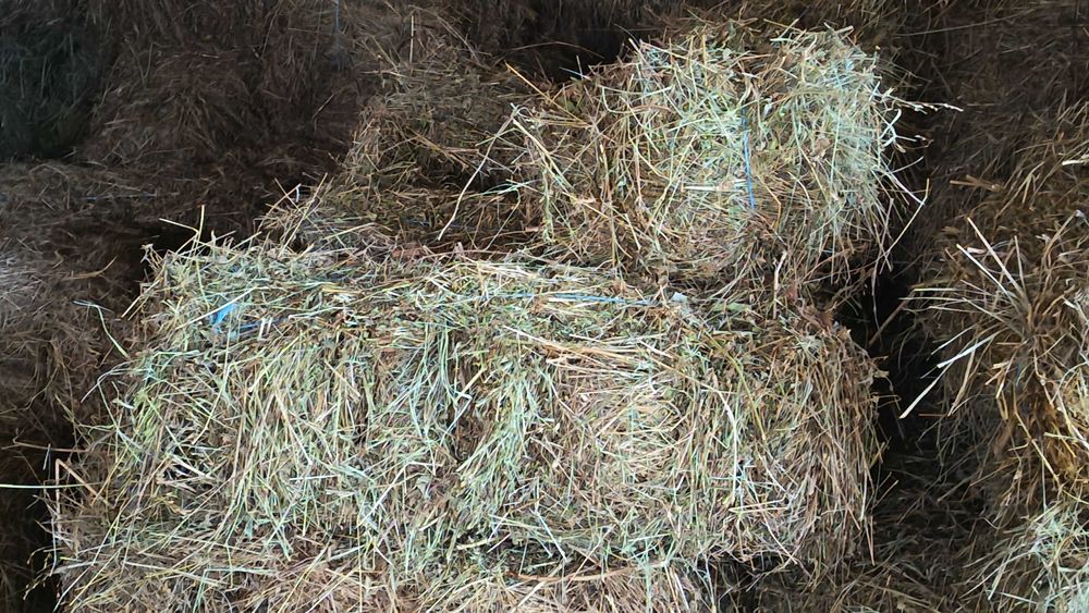 De vanzare baloti de fân