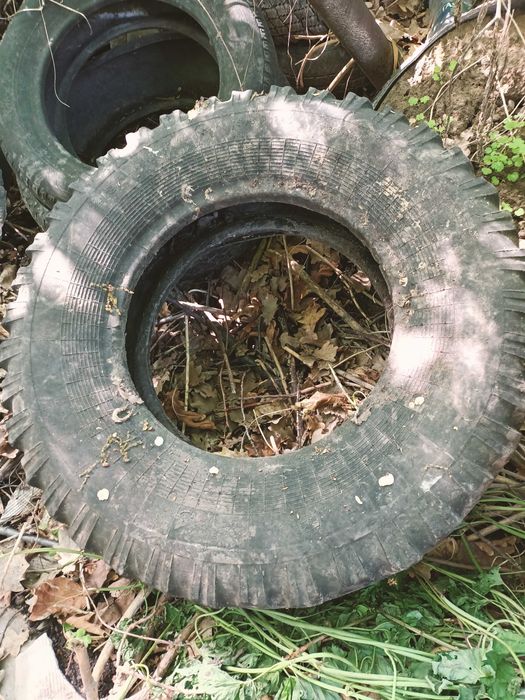 Отдам бесплатно шины