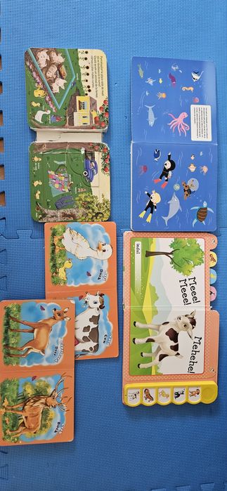 Set carti animale copii