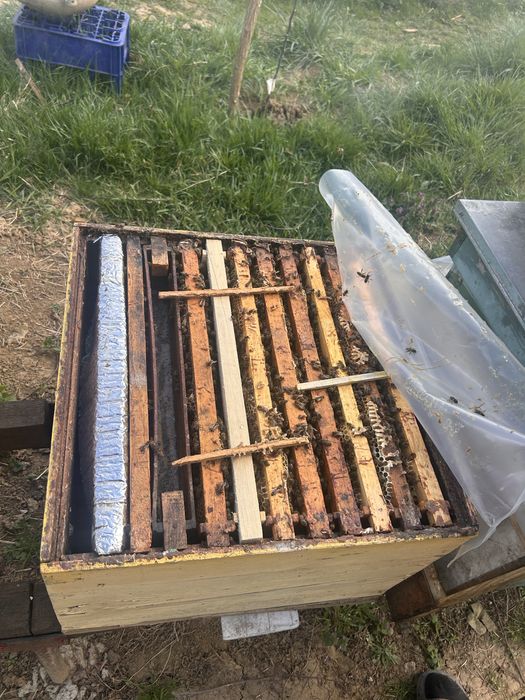 Vand familii de albine