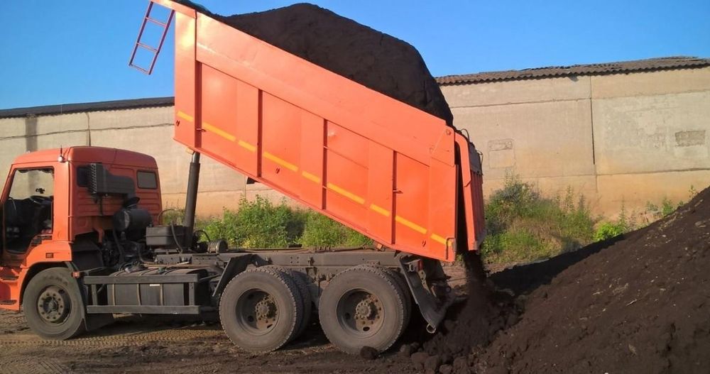 Чернозем плодородный