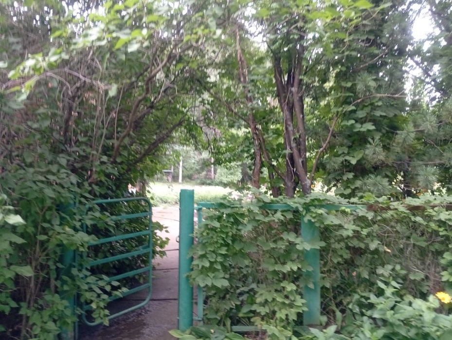 Дача с пасекой (за Тарханкой)