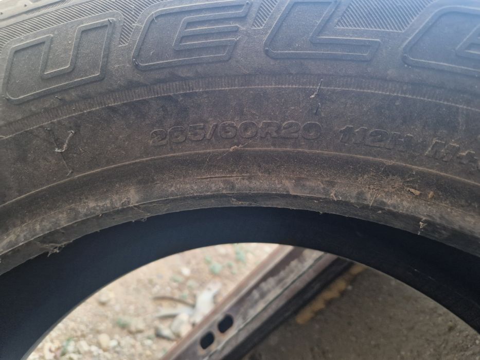 Bridgestone  покрышкы