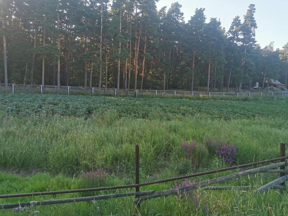 Продам участок земли