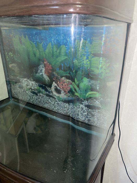 Аквариум 200литров
