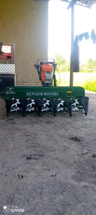 Sholi Bug'doy o'radigan jatka