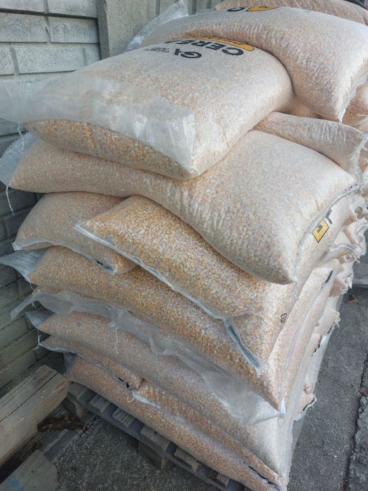 Porumb și Grâu boabe