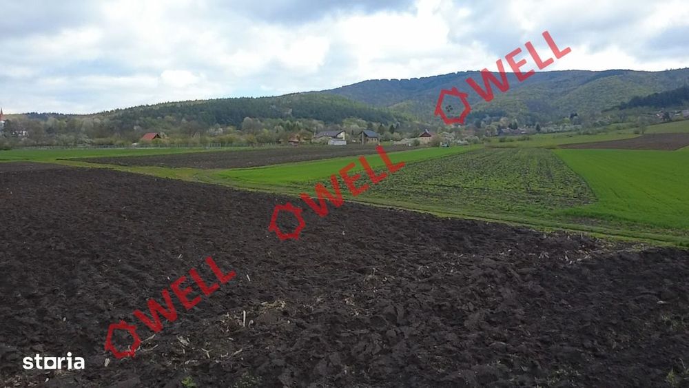 Teren intravilan de vânzare în Bicfalău!
