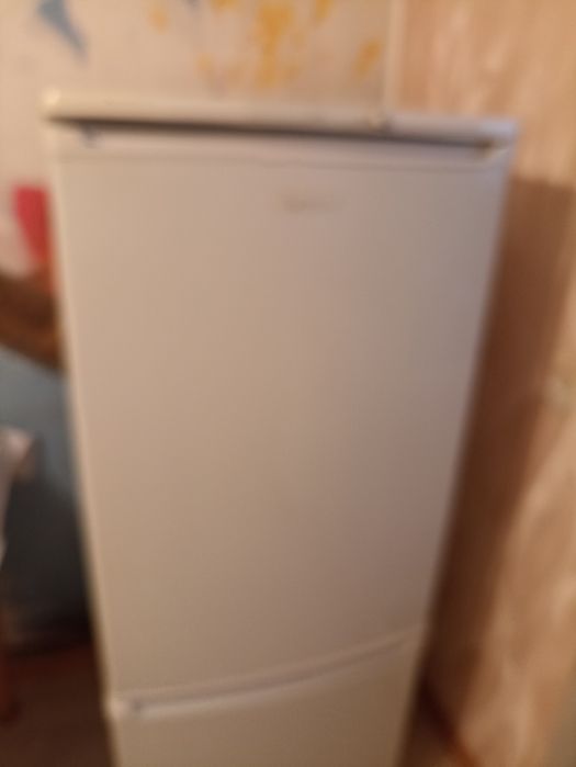 Холодильник Бирюса в Пригородном.