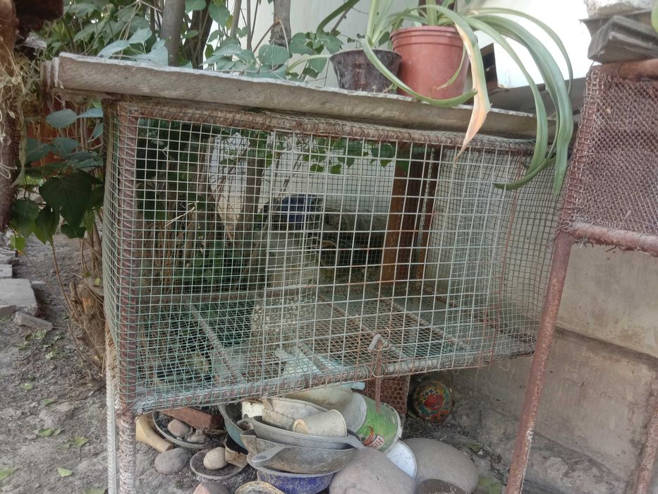 Продаются крольчатники