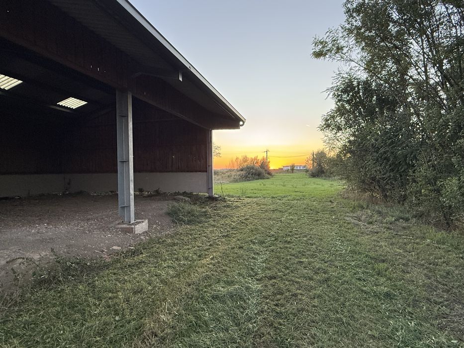 Teren intravilan plus hala