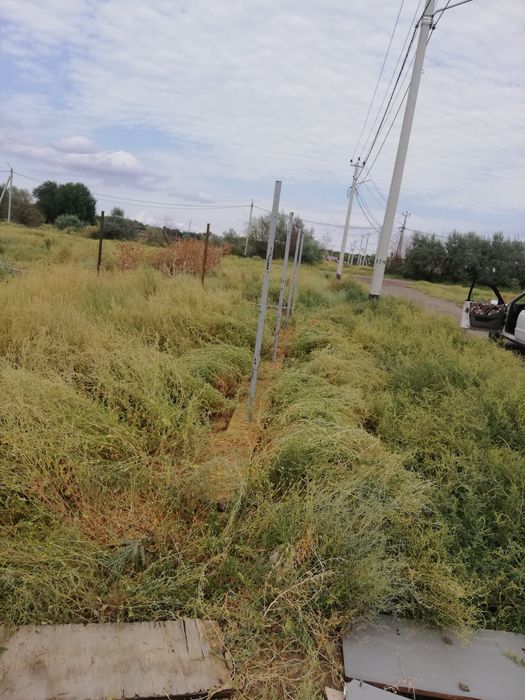 Гос арендныи учасок