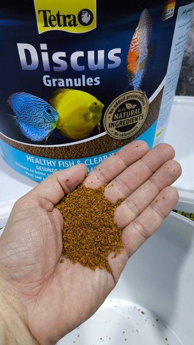 Тетра дискус(Tetra discus) Оригинал корм для всех видов рыб