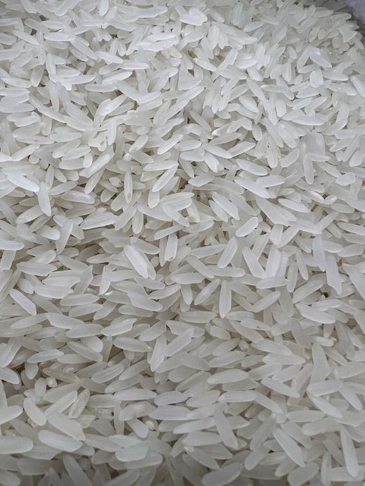 лазер голд рис оригинал ташкент