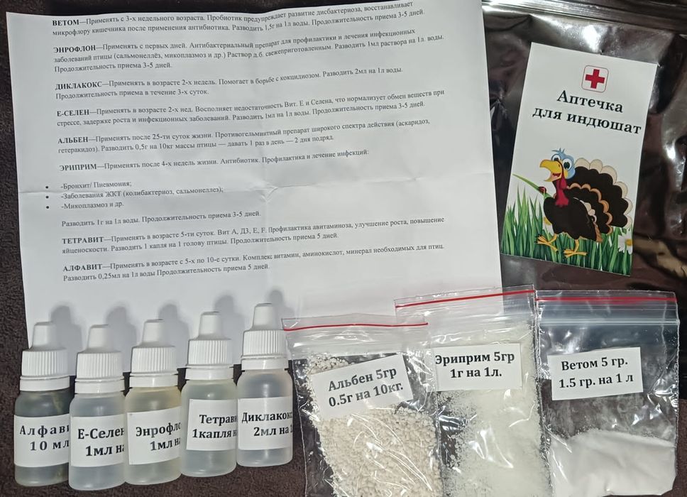 Инкубационное яйцо