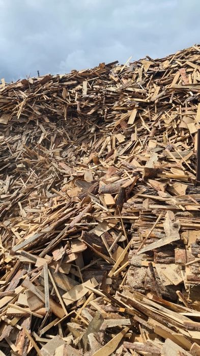 Дрова сосна. г.Костанай