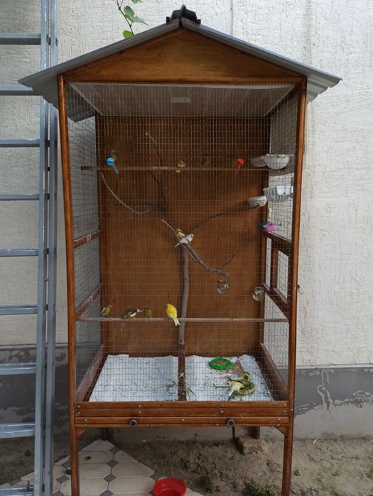 Kanareka 13-14 ta qapasi bn sotilad