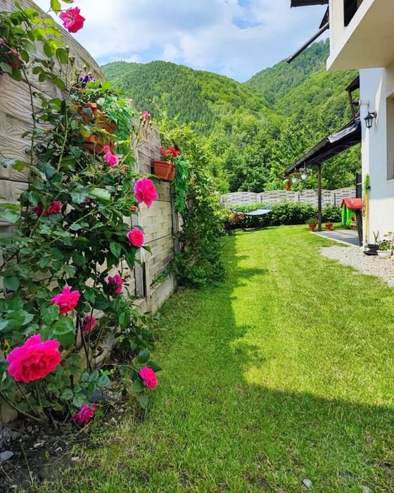 Cazare Rucar NOU Casa de Vacanta Estera