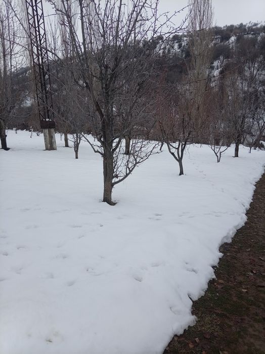 За городом в селле