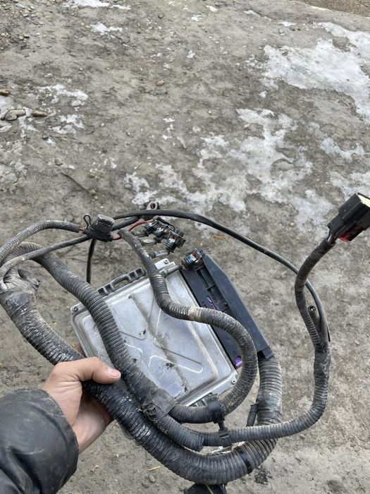 Jentra zavod gaz miyasi