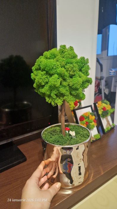 Martisor Copăcel din licheni stabilizati