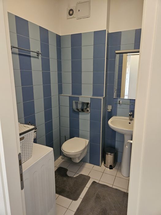 Copou Bellevue apartament