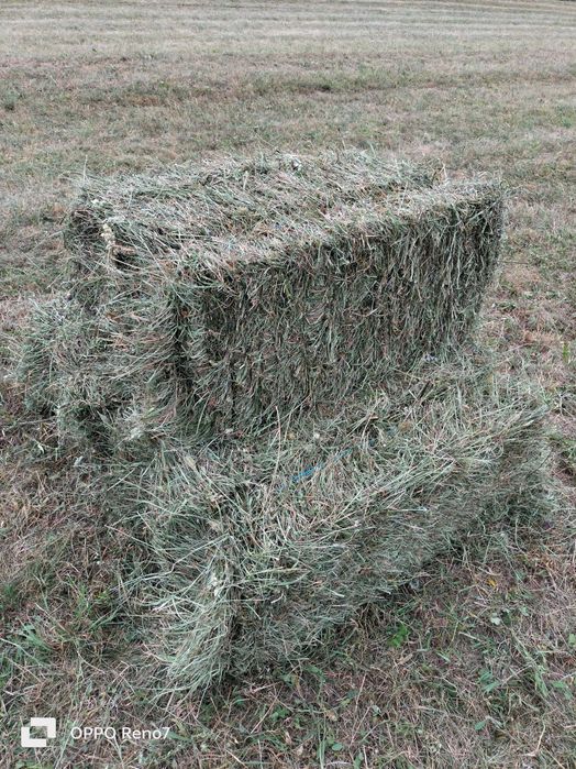 Baloți de fân, otavă și lucernă