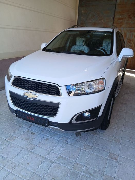 Каптива 3+експртни срочна сотилади идеалний