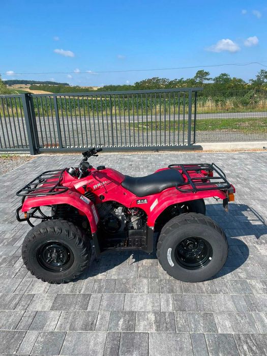Atv Yamaha Bruin 350 4x4/automat/import Germania
