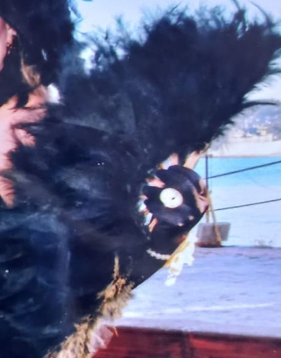 Ветрило различни цветове