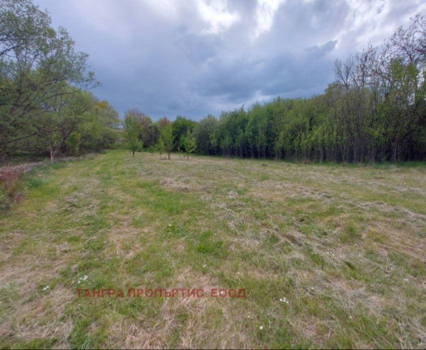 Продава се парцел в село Жедна, област Перник