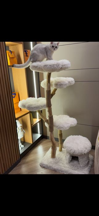 Мушукла учун етадиган, сакридиган уй