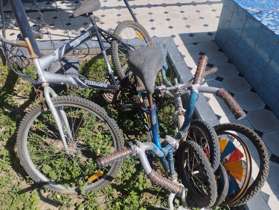 3 ta velosiped - 500.000 som