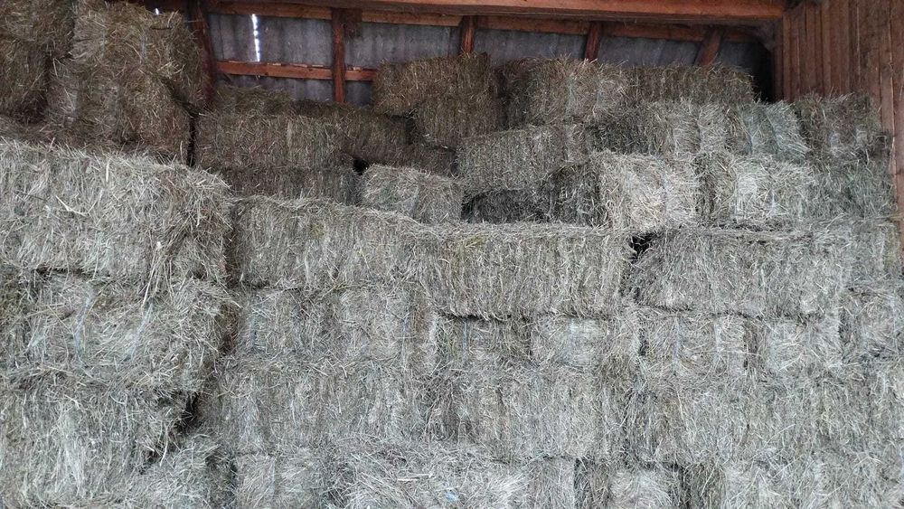 Vând balotii de fân